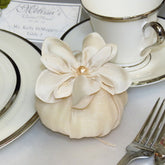 Dalmazio Design Ninfea Sachet with Pearl (White/Ivory)